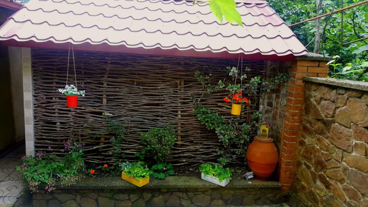 Green House In Batoumi Extérieur photo